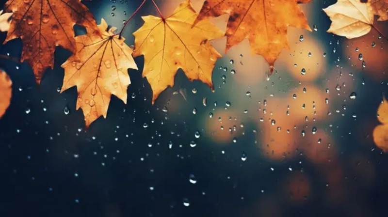 Последние дни ноября: синоптики раскрыли неожиданный температурный прогноз для Украины