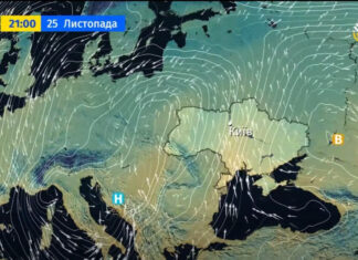 Последняя неделя ноября: аномальное тепло на юге и дожди на западе Украины