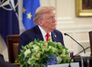 Трамп раскрыл детали мирного плана для Украины: что ждет Зеленского в случае отказа