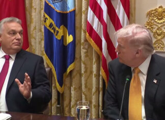 Трамп и Орбан обсудили войну в Украине: неожиданный поворот в дипломатическом диалоге