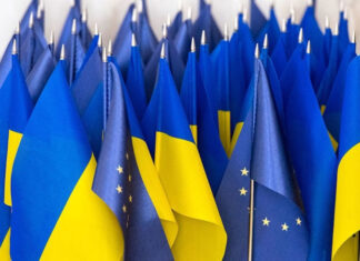 Дипломатический тупик: Почему Украина не может отвергнуть мирный план Трампа