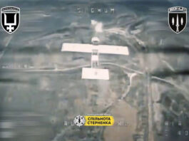 SIGNUM нанес сокрушительный удар: уничтожены 11 вражеских дронов и боевиков на Лиманском направлении