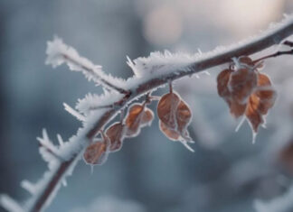 Зимние качели: В Украине ожидается резкая смена температурного режима с аномальным потеплением и последующими морозами