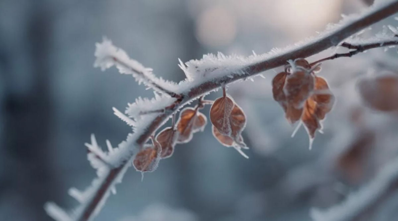 Аномальное тепло в Украине сменится похолоданием