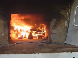 Российская глубинка выживает: почему жители Псковской области готовятся к зиме с дровами и колодцами