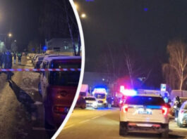 Теракт в Орехово-Борисово: Двое полицейских погибли при загадочном взрыве