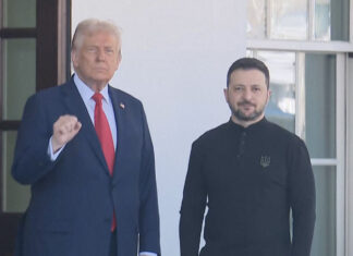 Зеленский едет к Трампу: последний шанс на мирный план по войне в Украине