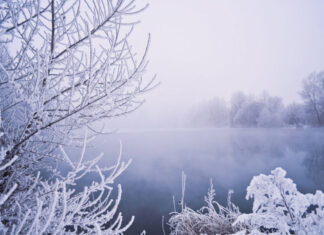 Украину накроет зимний фронт: Похолодание и снег обрушатся на все регионы