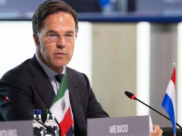 Рютте заверил: НАТО не готовит альтернативный сценарий по Украине даже при сокращении помощи США