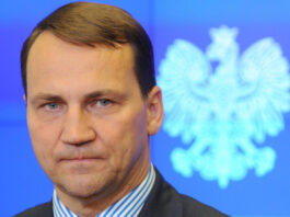 Сикорский атаковал Маска: резкий ответ на антиевропейские заявления