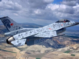 Турция перехватила и уничтожила неуправляемый БПЛА над Черным морем