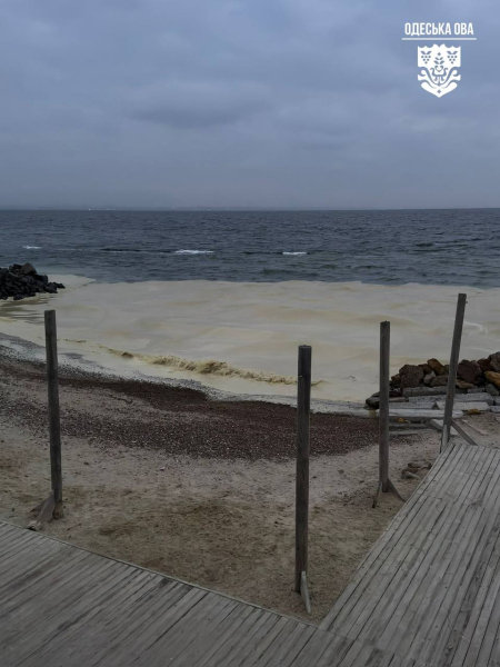 Последствия экологической катастрофы