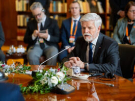 Чешский президент предупредил о возможных ударах по российским самолетам в случае продолжения провокаций