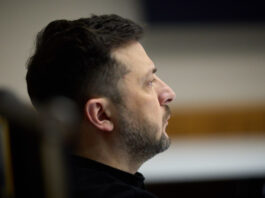 Переговоры по Украине сдвинулись с мертвой точки: Трамп готовит уникальный план мирного урегулирования