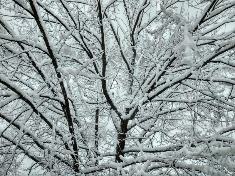 Арктический воздух не отступит: морозы до –20 окутают Украину надолго