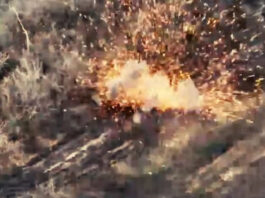 Сокрушительный удар: Десантники ВСУ уничтожили российскую бронеколонну на Покровском направлении