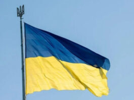 Доверие Зеленскому не падает: КМИС раскрыл настроения украинцев в конце 2025 года