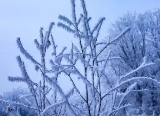 Экстремальный холод надвигается: какие области Украины окажутся в зоне риска