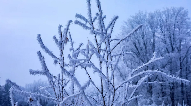Экстремальный холод надвигается: какие области Украины окажутся в зоне риска