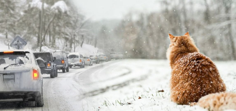 Прогноз погоды в Украине