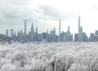 Арктический шторм накроет США: 240 миллионов человек готовятся к небывалому похолоданию
