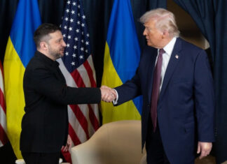 Зеленский и Трамп в Давосе: Стратегический прорыв в войне и переговорах о мире