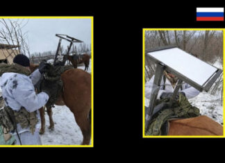 Starlink на конях: армия РФ демонстрирует технологический откат до уровня 19 века