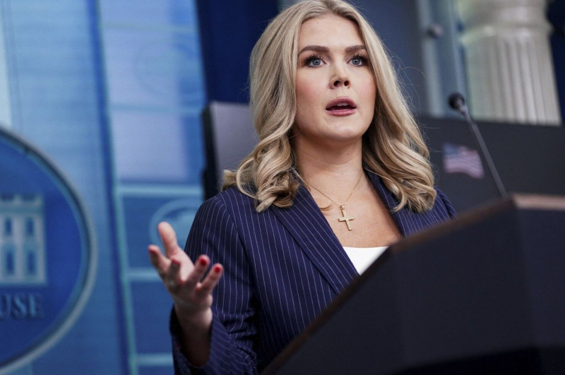 Европейские войска в Гренландии