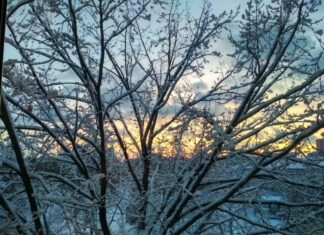 Арктический экспресс: Украину накроют экстремальные морозы до −22 градусов