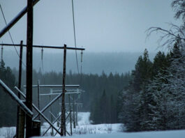 Энергетический коллапс на Севере: как зять Медведчука оставил Североморск без света и тепла
