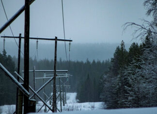 Энергетический коллапс на Севере: как зять Медведчука оставил Североморск без света и тепла