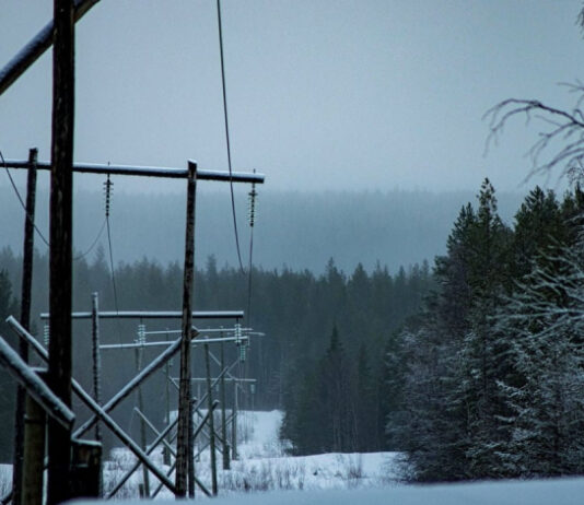 Энергетический коллапс на Севере: как зять Медведчука оставил Североморск без света и тепла