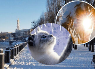 Морозы отступают: синоптики анонсировали начало потепления в Украине