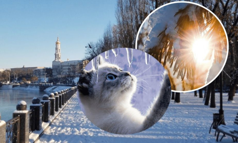 Зима сдает позиции, украинцев ожидает резкое потепление