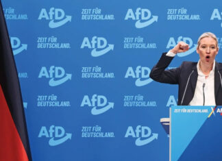 Скрытая угроза: Как AfD может слить военные секреты НАТО России