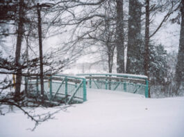 Циклоны атакуют: украинцев предупредили о неделе сложной погоды с метелями и морозами