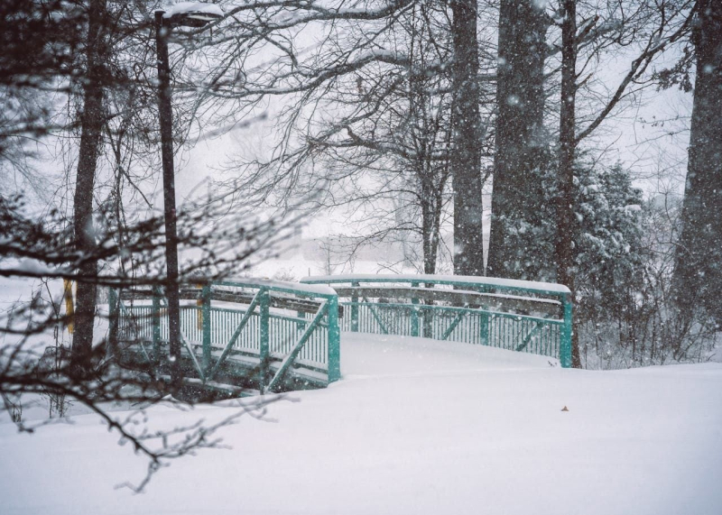 Циклоны атакуют: украинцев предупредили о неделе сложной погоды с метелями и морозами