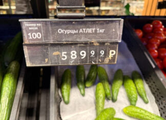Огуречный кризис: как подорожание овощей обнажает экономические проблемы России