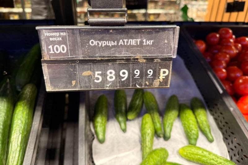 Огуречный кризис в России