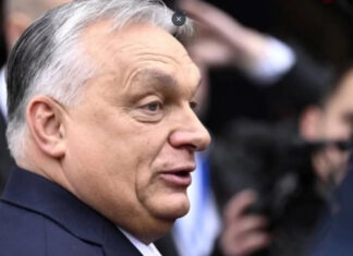 Орбан мобилизует войска: Венгрия готовится к предполагаемой угрозе от Украины