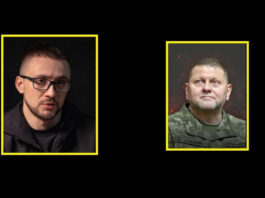 Стерненко жестко ответил Залужному: Война — не место для внутренних разборок