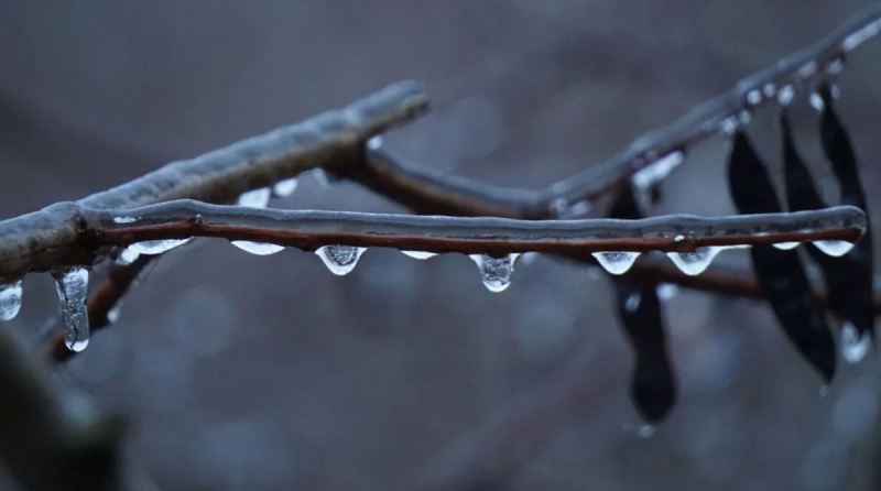 Украине пообещали первые признаки весны: синоптик рассказала, когда начнет теплеть