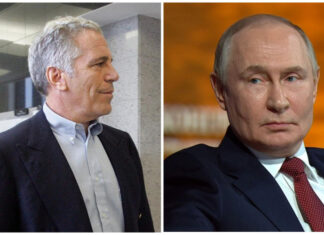 Откровения из архивов: Эпштейн и Путин в сети неизвестных контактов