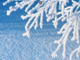 Циклоны атакуют: Украину накроет кратковременное похолодание