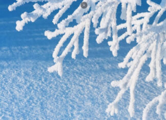 Циклоны атакуют: Украину накроет кратковременное похолодание