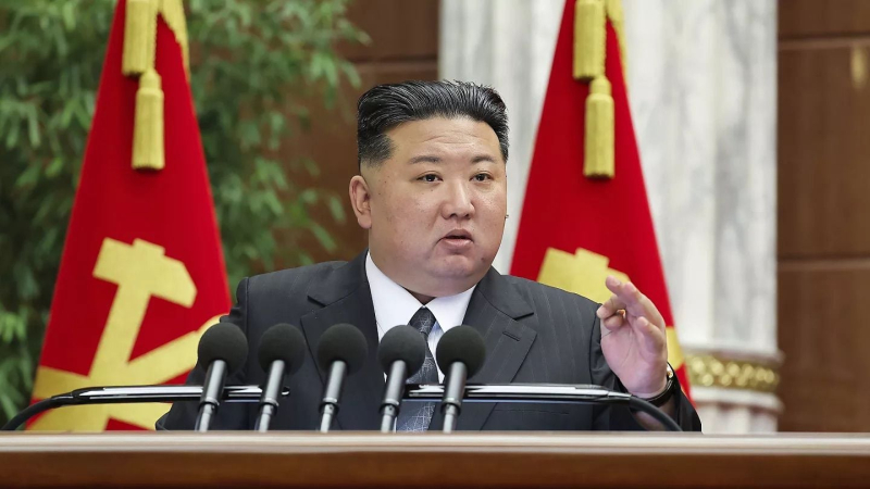 Медведев о северокорейской экономике