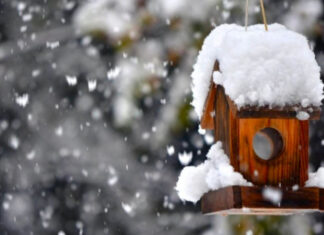 Последние морозы февраля: синоптики раскрыли точный прогноз потепления