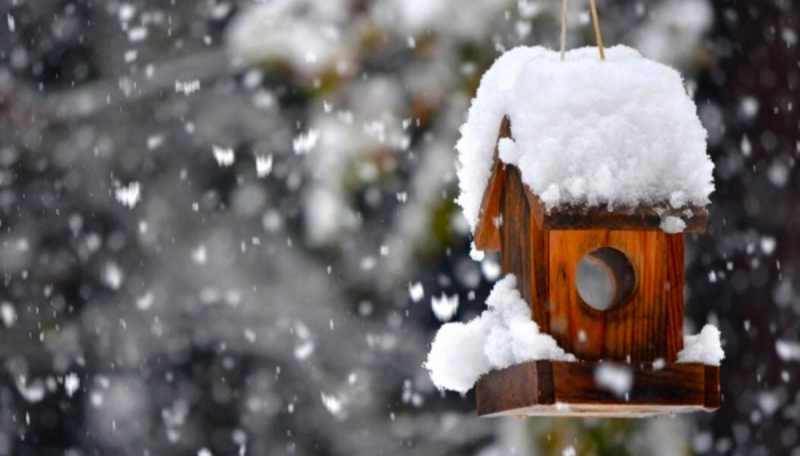 Последние морозы февраля: синоптики раскрыли точный прогноз потепления