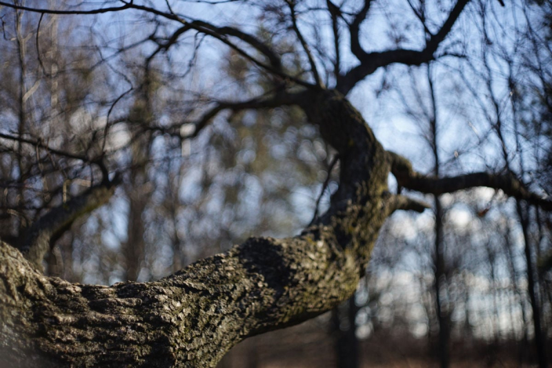 Зимние погодные условия