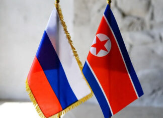 Медики из КНДР спасают российское здравоохранение: первый врач уже принимает пациентов в Москве